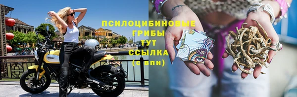 марки lsd Аркадак