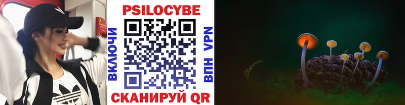 Галлюциногенные грибы Magic Shrooms  купить наркотик  Чудово 