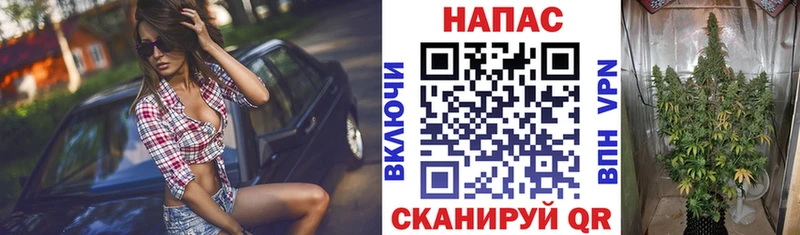 Шишки марихуана Bruce Banner  Чудово 